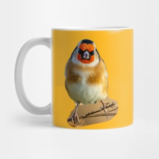 Goldfinch on teasels Mug